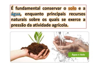 É fundamental conservar o solo e a
água, enquanto principais recursos
naturais sobre os quais se exerce a
pressão da atividade agrícola.
 