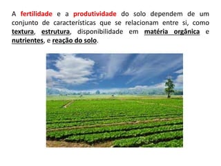 A fertilidade e a produtividade do solo dependem de um
conjunto de características que se relacionam entre si, como
textura, estrutura, disponibilidade em matéria orgânica e
nutrientes, e reação do solo.
 