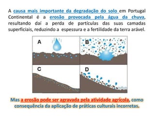 A causa mais importante da degradação do solo em Portugal
Continental é a erosão provocada pela água da chuva,
resultando daí a perda de partículas das suas camadas
superficiais, reduzindo a espessura e a fertilidade da terra arável.
Mas a erosão pode ser agravada pela atividade agrícola, como
consequência da aplicação de práticas culturais incorretas.
 