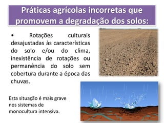 Práticas agrícolas incorretas que
promovem a degradação dos solos:
• Rotações culturais
desajustadas às características
do solo e/ou do clima,
inexistência de rotações ou
permanência do solo sem
cobertura durante a época das
chuvas.
Esta situação é mais grave
nos sistemas de
monocultura intensiva.
 