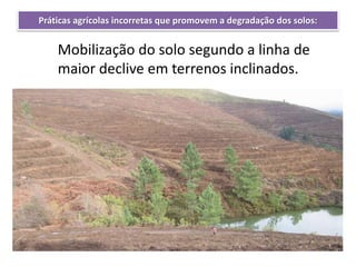 Mobilização do solo segundo a linha de
maior declive em terrenos inclinados.
Práticas agrícolas incorretas que promovem a degradação dos solos:
 
