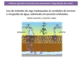 Uso de métodos de rega inadequados às condições do terreno
e má gestão da água, sobretudo em parcelas onduladas.
Práticas agrícolas incorretas que promovem a degradação dos solos:
 
