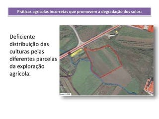 Práticas agrícolas incorretas que promovem a degradação dos solos:
Deficiente
distribuição das
culturas pelas
diferentes parcelas
da exploração
agrícola.
 