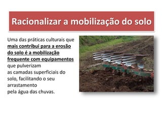 Racionalizar a mobilização do solo
Uma das práticas culturais que
mais contribui para a erosão
do solo é a mobilização
frequente com equipamentos
que pulverizam
as camadas superficiais do
solo, facilitando o seu
arrastamento
pela água das chuvas.
 