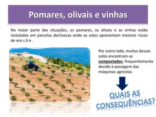 Pomares, olivais e vinhas
Na maior parte das situações, os pomares, os olivais e as vinhas estão
instalados em parcelas declivosas onde os solos apresentam maiores riscos
de ero s ã o .
Por outro lado, muitos desses
solos encontram-se
compactados, frequentemente
devido à passagem das
máquinas agrícolas
 