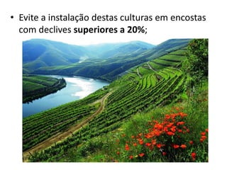 • Evite a instalação destas culturas em encostas
com declives superiores a 20%;
 
