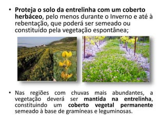 • Proteja o solo da entrelinha com um coberto
herbáceo, pelo menos durante o Inverno e até à
rebentação, que poderá ser semeado ou
constituído pela vegetação espontânea;
• Nas regiões com chuvas mais abundantes, a
vegetação deverá ser mantida na entrelinha,
constituindo um coberto vegetal permanente
semeado à base de gramíneas e leguminosas.
 