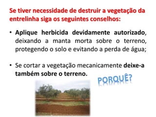 Se tiver necessidade de destruir a vegetação da
entrelinha siga os seguintes conselhos:
• Aplique herbicida devidamente autorizado,
deixando a manta morta sobre o terreno,
protegendo o solo e evitando a perda de água;
• Se cortar a vegetação mecanicamente deixe-a
também sobre o terreno.
 