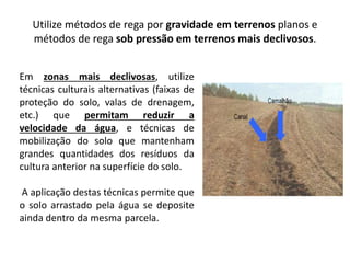 Utilize métodos de rega por gravidade em terrenos planos e
métodos de rega sob pressão em terrenos mais declivosos.
Em zonas mais declivosas, utilize
técnicas culturais alternativas (faixas de
proteção do solo, valas de drenagem,
etc.) que permitam reduzir a
velocidade da água, e técnicas de
mobilização do solo que mantenham
grandes quantidades dos resíduos da
cultura anterior na superfície do solo.
A aplicação destas técnicas permite que
o solo arrastado pela água se deposite
ainda dentro da mesma parcela.
 