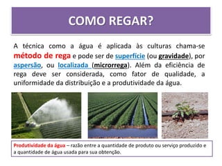 COMO REGAR?
A técnica como a água é aplicada às culturas chama-se
método de rega e pode ser de superfície (ou gravidade), por
aspersão, ou localizada (microrrega). Além da eficiência de
rega deve ser considerada, como fator de qualidade, a
uniformidade da distribuição e a produtividade da água.
Produtividade da água – razão entre a quantidade de produto ou serviço produzido e
a quantidade de água usada para sua obtenção.
 
