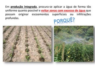 Em produção integrada, procura-se aplicar a água de forma tão
uniforme quanto possível e evitar zonas com excesso de água que
possam originar escoamentos superficiais ou infiltrações
profundas.
 