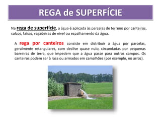 REGA de SUPERFÍCIE
Na rega de superfície, a água é aplicada às parcelas de terreno por canteiros,
sulcos, faixas, regadeiras de nível ou espalhamento da água.
A rega por canteiros consiste em distribuir a água por parcelas,
geralmente retangulares, com declive quase nulo, circundadas por pequenas
barreiras de terra, que impedem que a água passe para outros campos. Os
canteiros podem ser à rasa ou armados em camalhões (por exemplo, no arroz).
 
