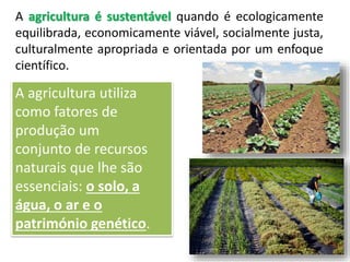 A agricultura é sustentável quando é ecologicamente
equilibrada, economicamente viável, socialmente justa,
culturalmente apropriada e orientada por um enfoque
científico.
A agricultura utiliza
como fatores de
produção um
conjunto de recursos
naturais que lhe são
essenciais: o solo, a
água, o ar e o
património genético.
 