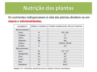 Nutrição das plantas
Os nutrientes indispensáveis à vida das plantas dividem-se em
macro e micronutrientes.
 