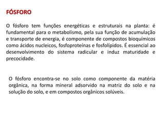 FÓSFORO
O fósforo tem funções energéticas e estruturais na planta: é
fundamental para o metabolismo, pela sua função de acumulação
e transporte de energia, é componente de compostos bioquímicos
como ácidos nucleicos, fosfoproteínas e fosfolípidos. É essencial ao
desenvolvimento do sistema radicular e induz maturidade e
precocidade.
O fósforo encontra-se no solo como componente da matéria
orgânica, na forma mineral adsorvido na matriz do solo e na
solução do solo, e em compostos orgânicos solúveis.
 
