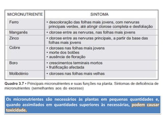 Os micronutrientes são necessários às plantas em pequenas quantidades e,
quando assimilados em quantidades superiores às necessárias, podem causar
toxicidade.
 