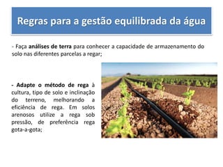 Regras para a gestão equilibrada da água
- Faça análises de terra para conhecer a capacidade de armazenamento do
solo nas diferentes parcelas a regar;
- Adapte o método de rega à
cultura, tipo de solo e inclinação
do terreno, melhorando a
eficiência de rega. Em solos
arenosos utilize a rega sob
pressão, de preferência rega
gota-a-gota;
 