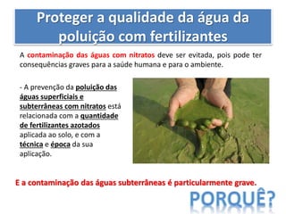 Proteger a qualidade da água da
poluição com fertilizantes
A contaminação das águas com nitratos deve ser evitada, pois pode ter
consequências graves para a saúde humana e para o ambiente.
- A prevenção da poluição das
águas superficiais e
subterrâneas com nitratos está
relacionada com a quantidade
de fertilizantes azotados
aplicada ao solo, e com a
técnica e época da sua
aplicação.
E a contaminação das águas subterrâneas é particularmente grave.
 