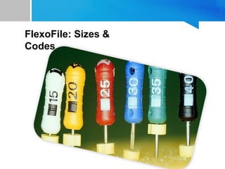 FlexoFile: Sizes &
Codes
 