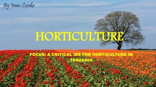 HORTICULTURE
FOCUS: A CRITICAL IBS FOR HORTICULTURE IN
TANZANIA
By Isaac Luseko
 