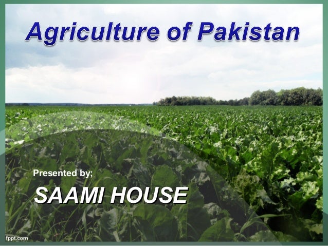 assignment of agriculture of pakistan