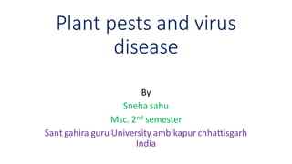 Plant pests and virus
disease
By
Sneha sahu
Msc. 2nd semester
Sant gahira guru University ambikapur chhattisgarh
India
 