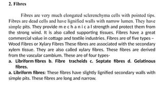 2. Fibres
Fibres are very much elongated sclerenchyma cells with pointed tips.
Fibres are dead cells and have lignified walls with narrow lumen. They have
simple pits. They provide m e c h a n i c a l strength and protect them from
the strong wind. It is also called supporting tissues. Fibres have a great
commercial value in cottage and textile industries. Fibres are of five types –
Wood Fibres or Xylary Fibres These fibres are associated with the secondary
xylem tissue. They are also called xylary fibres. These fibres are derived
from the vascular cambium. These are of four types-
a. Libriform fibres b. Fibre tracheids c. Septate fibres d. Gelatinous
fibres.
a. Libriform fibres: These fibres have slightly lignified secondary walls with
simple pits. These fibres are long and narrow.
 