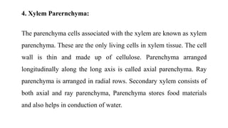 4. Xylem Parernchyma:
The parenchyma cells associated with the xylem are known as xylem
parenchyma. These are the only living cells in xylem tissue. The cell
wall is thin and made up of cellulose. Parenchyma arranged
longitudinally along the long axis is called axial parenchyma. Ray
parenchyma is arranged in radial rows. Secondary xylem consists of
both axial and ray parenchyma, Parenchyma stores food materials
and also helps in conduction of water.
 