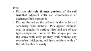 Pits:
• Pits are relatively thinner portions of the cell
wall that adjacent cells can communicate or
exchange fluid through it.
• Pits are formed on the cell wall is due to lack of
secondary wall material. Pits appear circular,
oval or angular in surface view and are of two
types-simple and bordered. The simple pits are
the areas with only primary wall without any
secondary thickening and have uniform with of
the pit chamber or cavity.
 