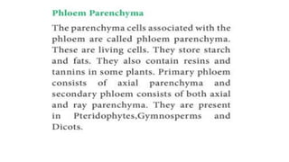 Permanent tissue , meristematic tissue. Animal tissue