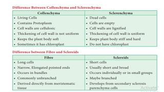 Permanent tissue , meristematic tissue. Animal tissue