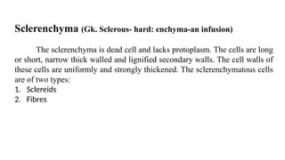 Sclerenchyma (Gk. Sclerous- hard: enchyma-an infusion)
The sclerenchyma is dead cell and lacks protoplasm. The cells are long
or short, narrow thick walled and lignified secondary walls. The cell walls of
these cells are uniformly and strongly thickened. The sclerenchymatous cells
are of two types:
1. Sclereids
2. Fibres
 