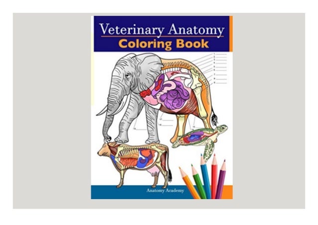 Download Kindle Online Pdf Veterinary Anatomy Coloring Book Animals Physiol