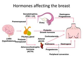 16290 (10) benign and malignant disease of the breast | PPTX