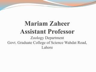 Mariam Zaheer
Assistant Professor
Zoology Department
Govt. Graduate College of Science Wahdat Road,
Lahore
 