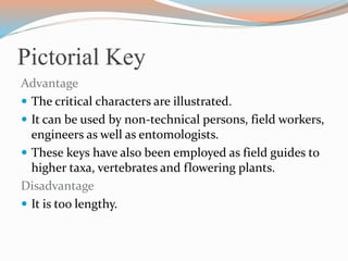 Pictorial Key
Advantage
 The critical characters are illustrated.
 It can be used by non-technical persons, field workers,
engineers as well as entomologists.
 These keys have also been employed as field guides to
higher taxa, vertebrates and flowering plants.
Disadvantage
 It is too lengthy.
 