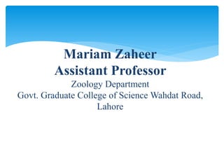 Mariam Zaheer
Assistant Professor
Zoology Department
Govt. Graduate College of Science Wahdat Road,
Lahore
 