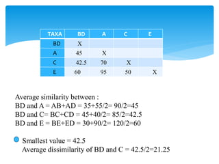 Average similarity between :
BD and A = AB+AD = 35+55/2= 90/2=45
BD and C= BC+CD = 45+40/2= 85/2=42.5
BD and E = BE+ED = 30+90/2= 120/2=60
Smallest value = 42.5
Average dissimilarity of BD and C = 42.5/2=21.25
TAXA BD A C E
BD X
A 45 X
C 42.5 70 X
E 60 95 50 X
 