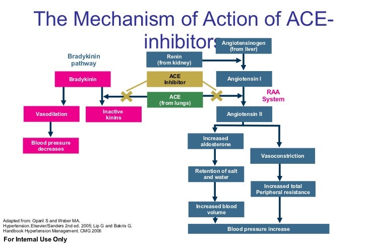 enalapril drug mechanism of action