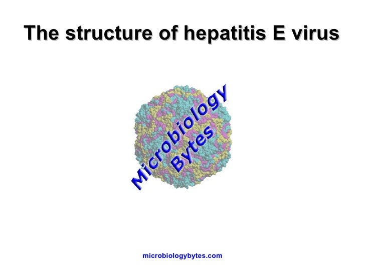 The Structure Of Hepatitis E Virus The Structure Of Hepatitis E Virus