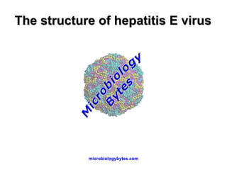 The structure of hepatitis E virus 