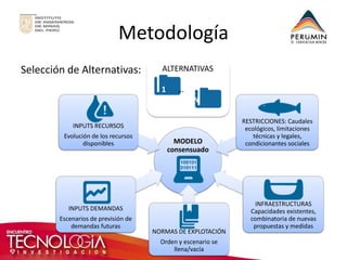 Metodología 
Selección de Alternativas: 
MODELO 
consensuado 
INPUTS DEMANDAS 
Escenarios de previsión de demandas futuras 
INPUTS RECURSOS 
Evolución de los recursos disponibles 
RESTRICCIONES: Caudales ecológicos, limitaciones técnicas y legales, condicionantes sociales 
NORMAS DE EXPLOTACIÓN 
Orden y escenario se llena/vacía 
INFRAESTRUCTURAS Capacidades existentes, combinatoria de nuevas propuestas y medidas 
ALTERNATIVAS 
1 … 
N  