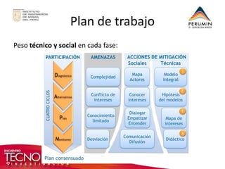 Plan de trabajo 
Peso técnico y social en cada fase:  