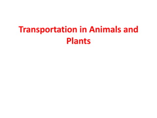 Transportation in Animals and
Plants
 