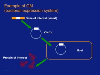 Example of GM (bacterial expression system) Page  Gene of interest (insert) Vector Host Protein of interest 