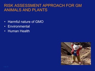 RISK ASSESSMENT APPROACH FOR GM ANIMALS AND PLANTS Harmful nature of GMO Environmental Human Health Page  