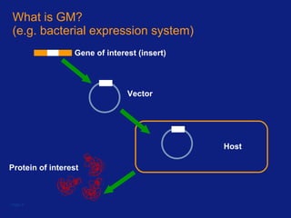 What is GM? (e.g. bacterial expression system) Page  Gene of interest (insert) Vector Host Protein of interest 