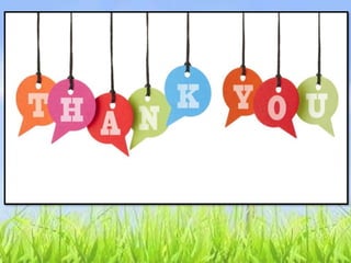 163405478 case-analysis-of-nitish-solutions-unlimited