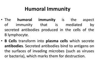 Humoral Immunity
• The humoral immunity is the aspect
of immunity that is mediated by
secreted antibodies produced in the cells of the
B lymphocyte.
• B Cells transform into plasma cells which secrete
antibodies. Secreted antibodies bind to antigens on
the surfaces of invading microbes (such as viruses
or bacteria), which marks them for destruction.
 