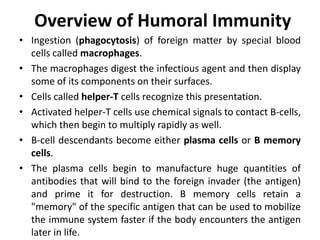 Overview of Humoral Immunity
• Ingestion (phagocytosis) of foreign matter by special blood
cells called macrophages.
• The macrophages digest the infectious agent and then display
some of its components on their surfaces.
• Cells called helper-T cells recognize this presentation.
• Activated helper-T cells use chemical signals to contact B-cells,
which then begin to multiply rapidly as well.
• B-cell descendants become either plasma cells or B memory
cells.
• The plasma cells begin to manufacture huge quantities of
antibodies that will bind to the foreign invader (the antigen)
and prime it for destruction. B memory cells retain a
"memory" of the specific antigen that can be used to mobilize
the immune system faster if the body encounters the antigen
later in life.
 